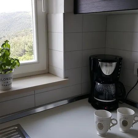 Cami -stylish With A Beautiful Seaview Apartment Rabac